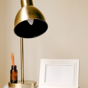 Anatomical Model Desk Lamp