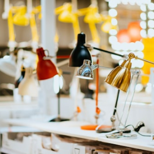 Light Up Anatomy Lamp